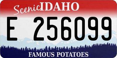 ID license plate E256099