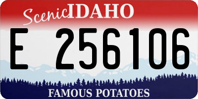 ID license plate E256106