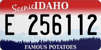ID license plate E256112