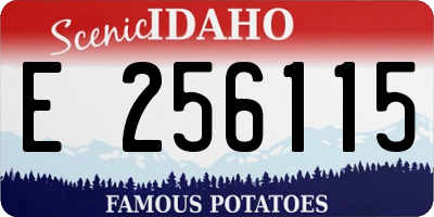 ID license plate E256115