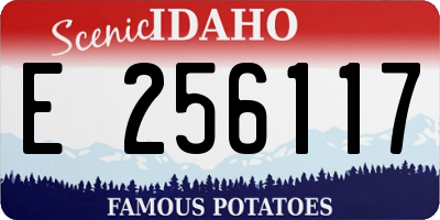 ID license plate E256117