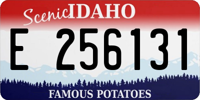 ID license plate E256131