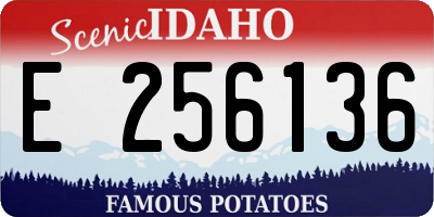 ID license plate E256136