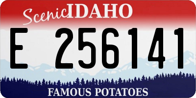 ID license plate E256141