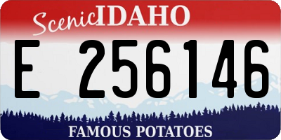 ID license plate E256146