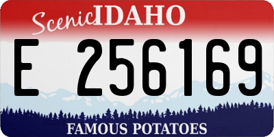 ID license plate E256169