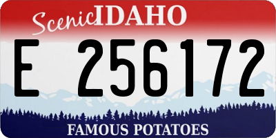 ID license plate E256172
