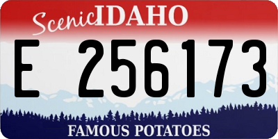 ID license plate E256173