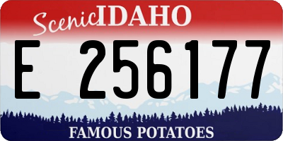 ID license plate E256177