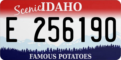 ID license plate E256190