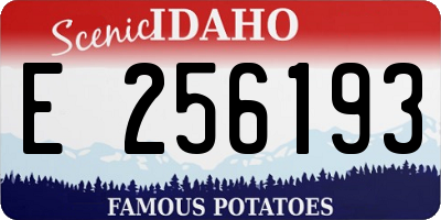 ID license plate E256193