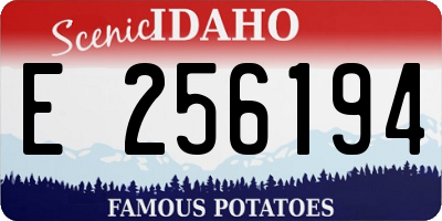 ID license plate E256194