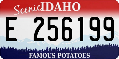 ID license plate E256199