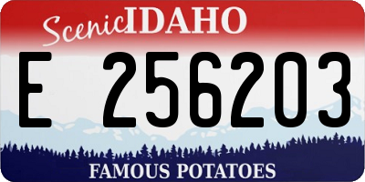 ID license plate E256203