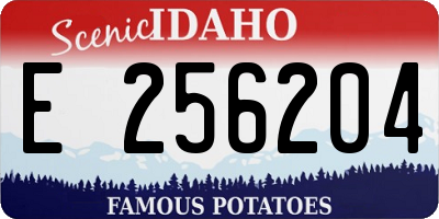 ID license plate E256204
