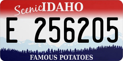 ID license plate E256205