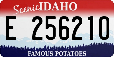 ID license plate E256210
