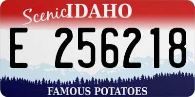 ID license plate E256218