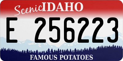 ID license plate E256223