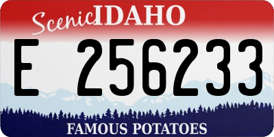 ID license plate E256233