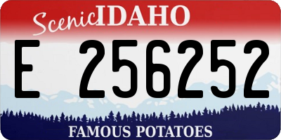 ID license plate E256252