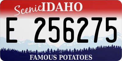 ID license plate E256275