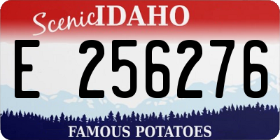ID license plate E256276