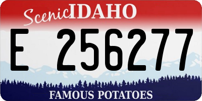 ID license plate E256277