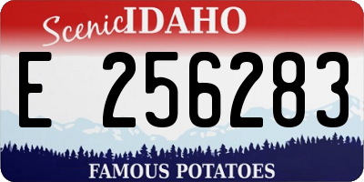ID license plate E256283