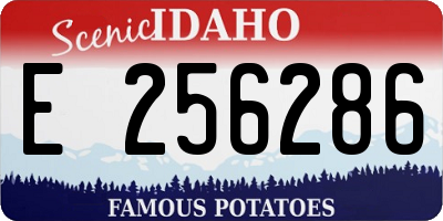 ID license plate E256286