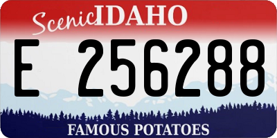 ID license plate E256288