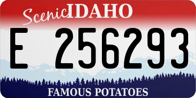 ID license plate E256293