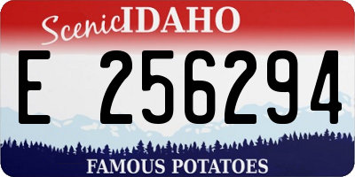 ID license plate E256294