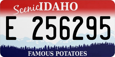 ID license plate E256295