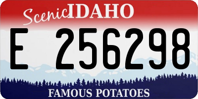 ID license plate E256298