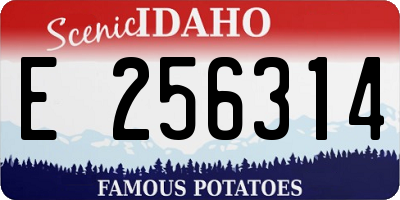 ID license plate E256314