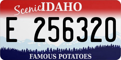 ID license plate E256320
