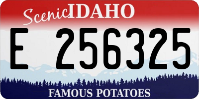 ID license plate E256325
