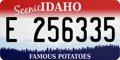 ID license plate E256335