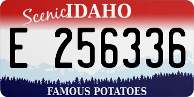 ID license plate E256336