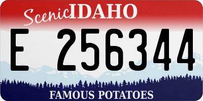 ID license plate E256344