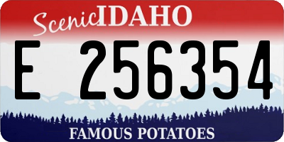 ID license plate E256354