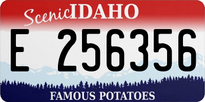 ID license plate E256356