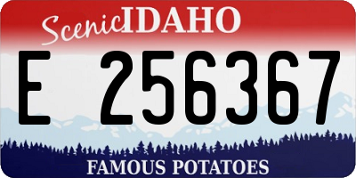 ID license plate E256367