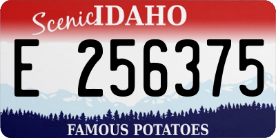 ID license plate E256375