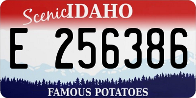 ID license plate E256386