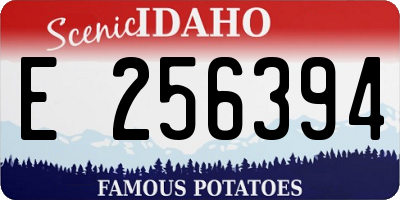 ID license plate E256394