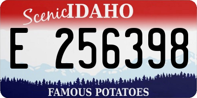 ID license plate E256398