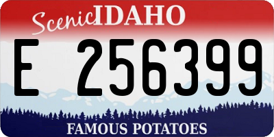 ID license plate E256399