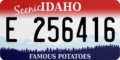 ID license plate E256416